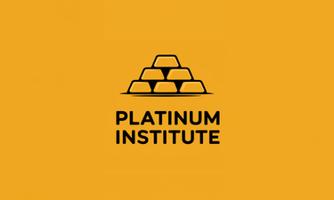 Platinum.Institute - Creative brandable domain for sale